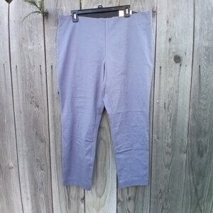 A New Day Skinny Ankle High Rise Pants 16R Blue Side Zip Stretch No Pockets New